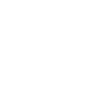Tintorera